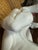 Vintage Italian Midcentury Style Life-Size Ceramic Greyhound Dog For Sale - Image 11 of 12