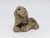 Sculpture Materials Vintage Reconstituted Stone Puppy or Dog Spaniel Garden Ornament, 20th Century For Sale - Image 7 of 8