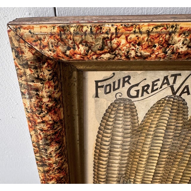 1940s 1940s Early Framed Newspaper Article on Sweet Corn For Sale - Image 5 of 6