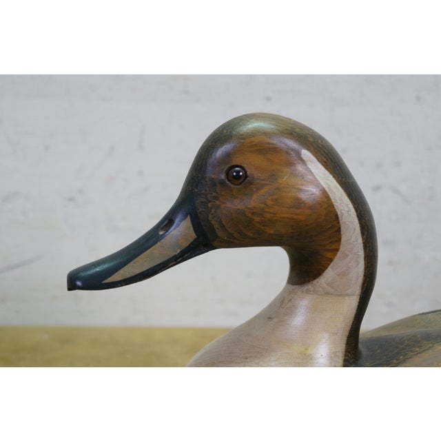 1980s Bob Hayden Windy Creek Hand Carved & Painted Wood Pintail Drake Duck Decoy 21" For Sale - Image 6 of 13