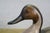 1980s Bob Hayden Windy Creek Hand Carved & Painted Wood Pintail Drake Duck Decoy 21" For Sale - Image 6 of 13