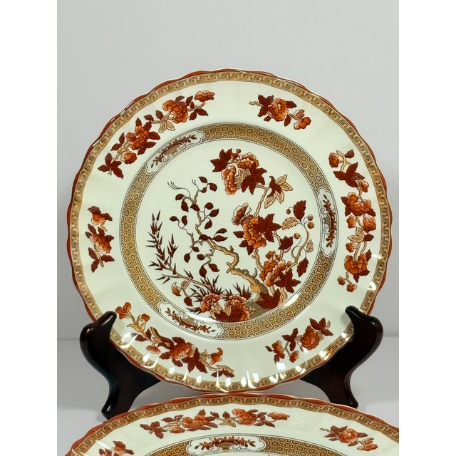 A set of 4 vintage Spode “Indian Tree” side plates, decorated in the iconic multicolor floral palette of warm brown orange...