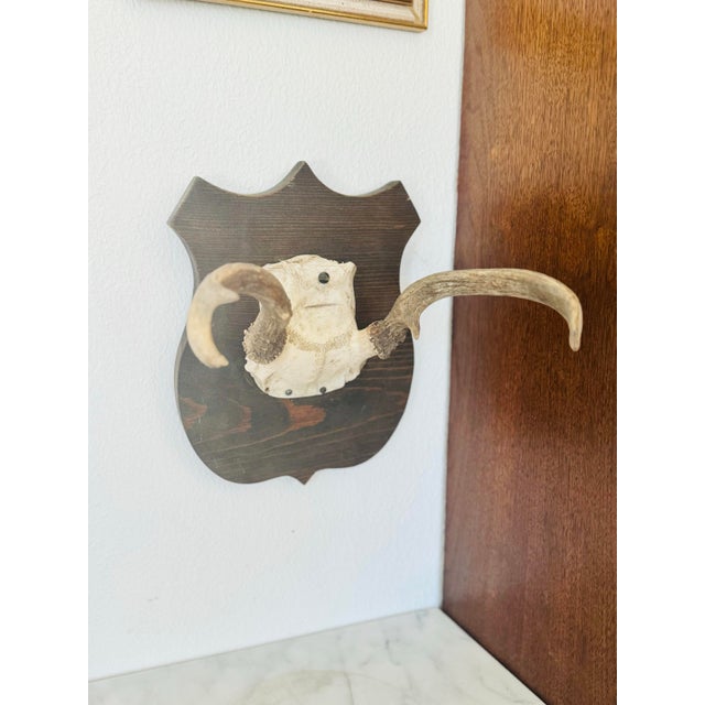 This striking set of vintage deer antlers, sourced from the estate of an European collector, is mounted on a classic...