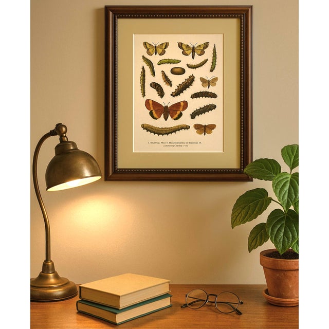 Karl Eckstein, Lepidoptera, 1915, Lithographs, Framed, Set of 3 For Sale - Image 3 of 18