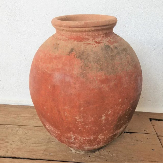 Tinaja Impruneta Wine Amphora in Terracotta. Spain, 1880s For Sale - Image 5 of 7