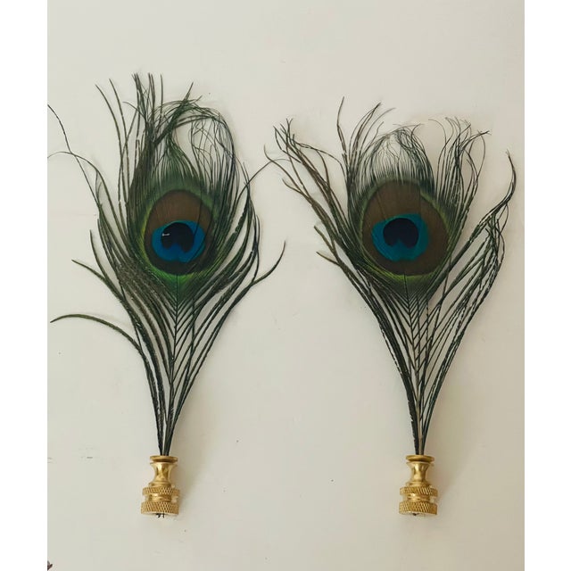 Fabulous pair of natural peacock feathers lamp from nails.