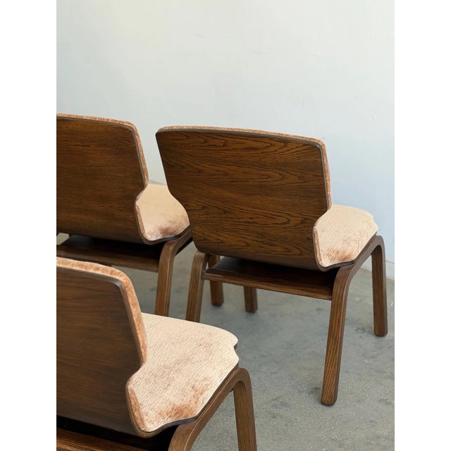 Brown Dark Oak Bentwood Dining Chairs For Sale - Image 8 of 9