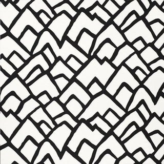 Sample - Schumacher Zimba Fabric in Ebony For Sale