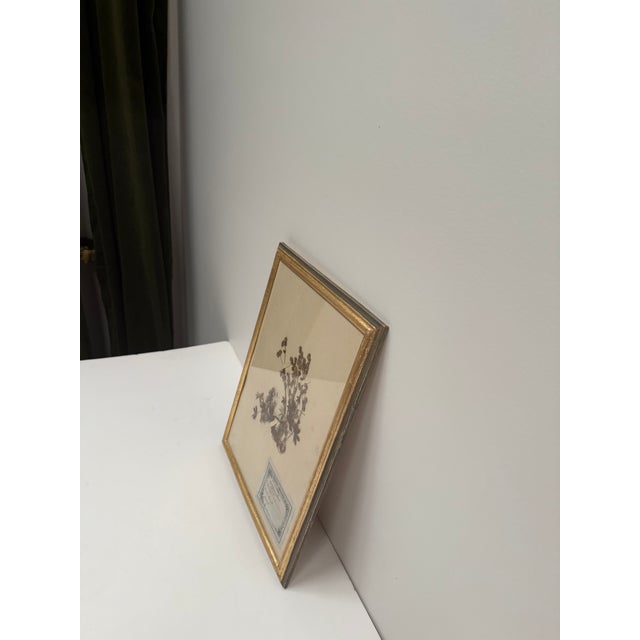 Wood Set of Three Vintage Pressed Botanicals For Sale - Image 7 of 18