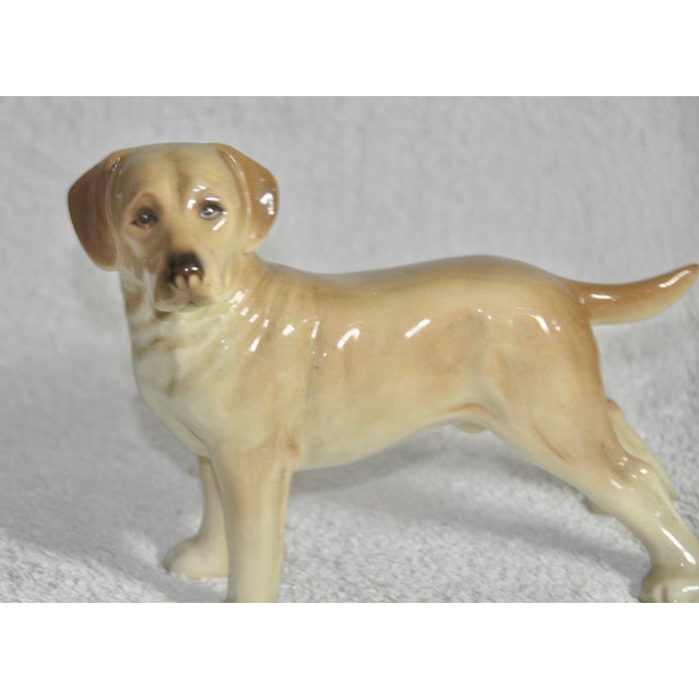 Labrador Dog from Coopercraft, 1970s For Sale - Image 4 of 6