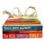 International Cookbooks, Set of 5 For Sale