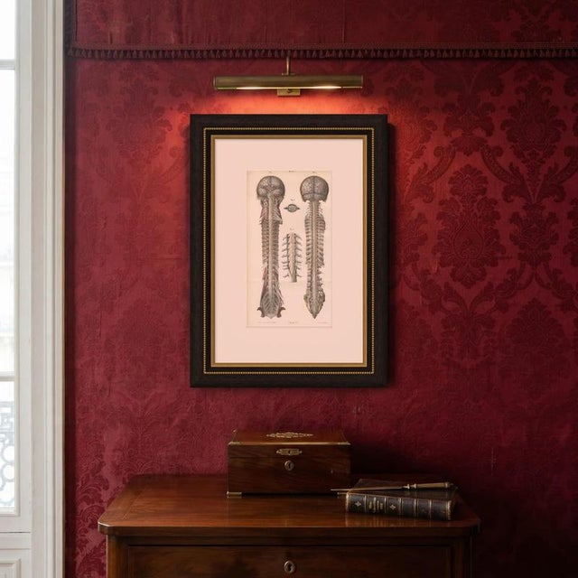 19th Century Hirschfeld and Leveille, Arteries of the Brain and Spinal Cord, 1866, Paper For Sale - Image 5 of 7