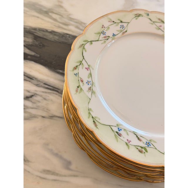 Green Antique Ginori Made in Italy Gold Gilt Hand Painted Plates - Set of 8 For Sale - Image 8 of 15