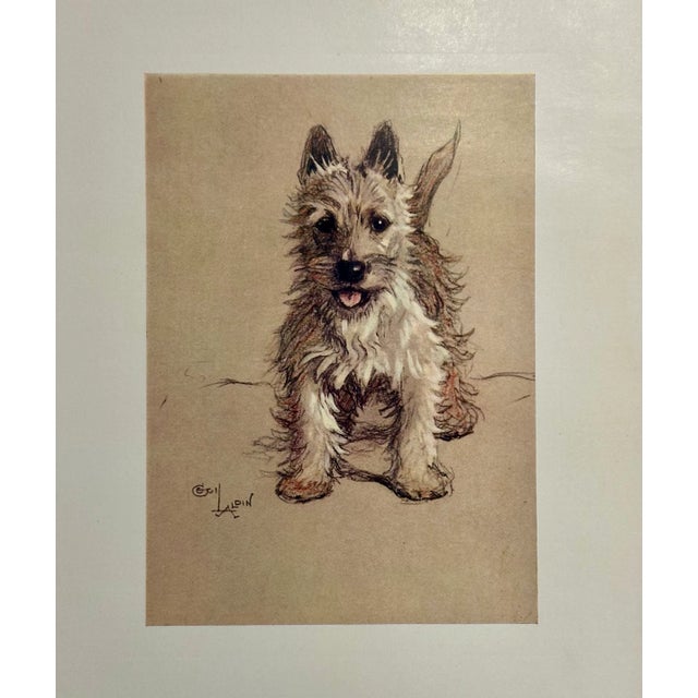 Original print from “A Dozen Dogs or So” by Cecil Aldin, 1928. Aldin was a British artist and illustrator known for his...