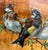 Rustic Gabriel Cazals, French Naturalist Goldfinches, 1900, Oil For Sale - Image 3 of 8