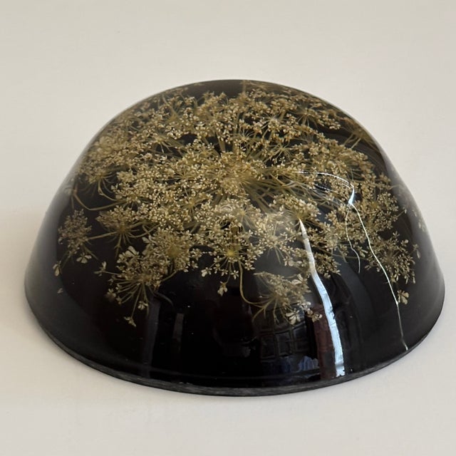 Vintage Botanical Resin Paperweight With Pressed Queen Anne's Lace For Sale - Image 13 of 17