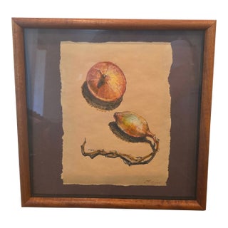 Late 20th Century Original Mixed-Media Still Life Drawing, Onion/Bulb Botanical Study on Paper - Signed For Sale