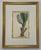 Set of 9 Original 1842 Curtis Botanical Prints in Ornate Gold-Leaf Gesso Matting – Framed For Sale - Image 15 of 15