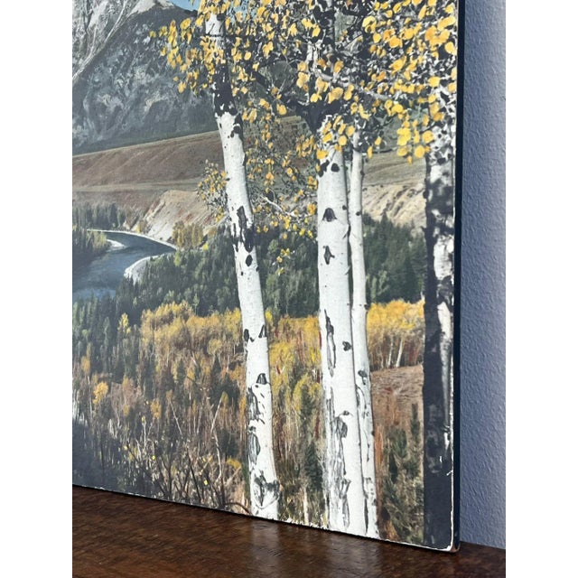 Light Green 1970s Vintage Tinted Photo Print For Sale - Image 8 of 10