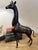 1950s African Bronze Giraffe For Sale - Image 6 of 6