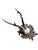 Cabin Roe Deer Trophy 212 Balck Forest Antlers Mount For Sale - Image 3 of 5