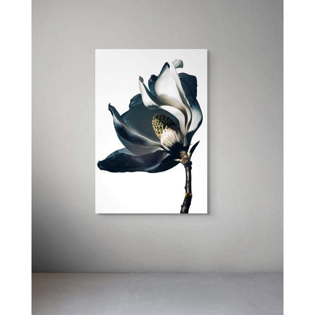 Exclusively available in the U.S. through ART AT HOME, Magnolia I by Sivan Roshianu presents a sculptural study of form,...