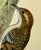 Antique Hand Tinted Bird Print From England Featuring a Brown Creeper - Circa 1880 For Sale - Image 4 of 10