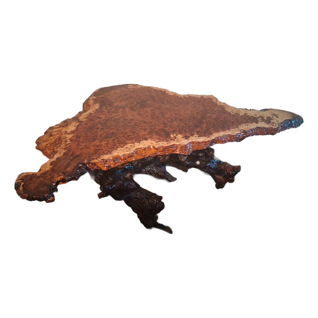 Mid-Century Organic Modern Live Edge Redwood Burl Coffee Table With Sculptural Root Base For Sale