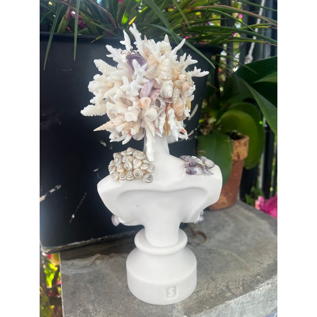 2020s CSS Seashell Bust of Diana For Sale - Image 5 of 6
