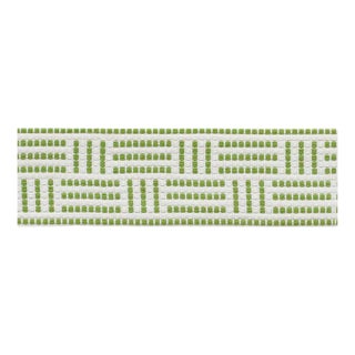 Schumacher Brickell Tape Indoor & Outdoor in Leaf For Sale