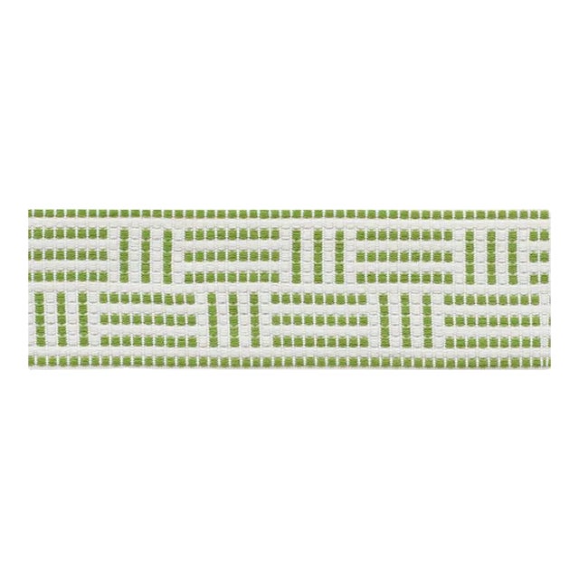 Schumacher Brickell Tape Indoor & Outdoor in Leaf For Sale