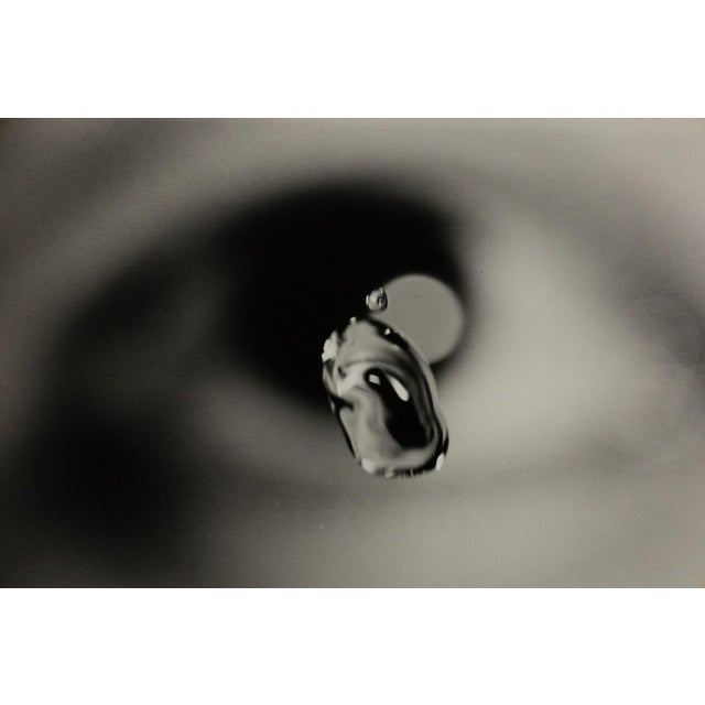 Contemporary Susan Derges Untitled (Eye) No.1 1991 Gelatin Silver Photograph Print Framed For Sale - Image 3 of 5