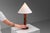Wood Organic Form Teak Table Lamp, 1960s For Sale - Image 7 of 13