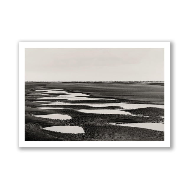 Contemporary Guy Sargent, Wittering Black, Archival Pigment Print For Sale - Image 3 of 5