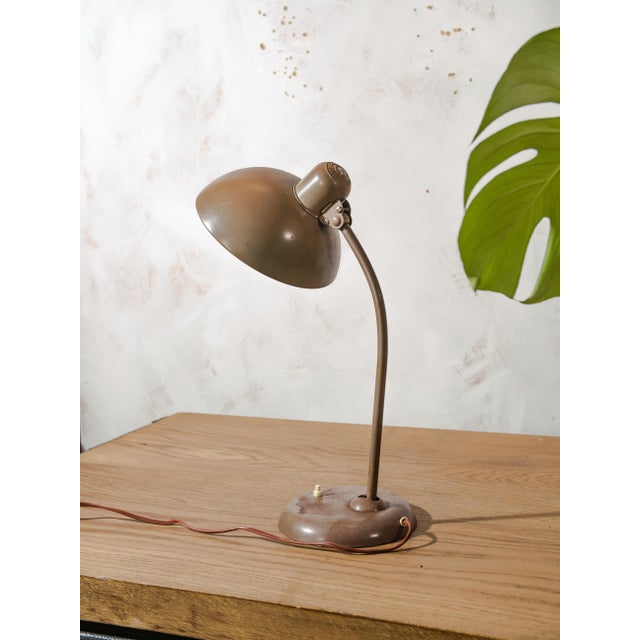 Bauhaus Brown 6556 Table Lamp from Kaiser Idell / Kaiser Leuchten, 1940s For Sale - Image 6 of 14