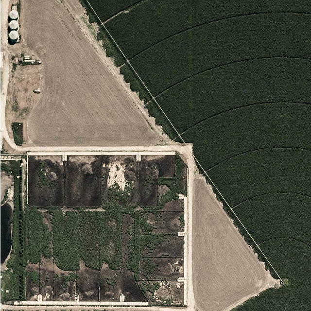 "AV_Central_Irrigation_007" Contemporary Limited Edition Fine Art Photograph Print by Bernhard Lang For Sale - Image 4 of 8