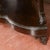 19th Century Italian Carved Wooden Console with Marble Top For Sale - Image 6 of 18