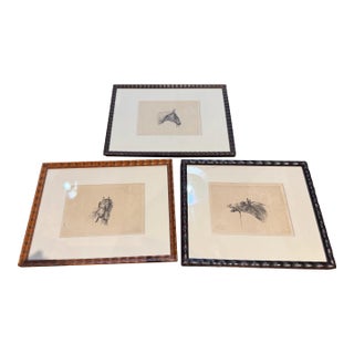 C.1800 Antique Etchings by Johannes Bemme, Set of 3 Horse Heads For Sale
