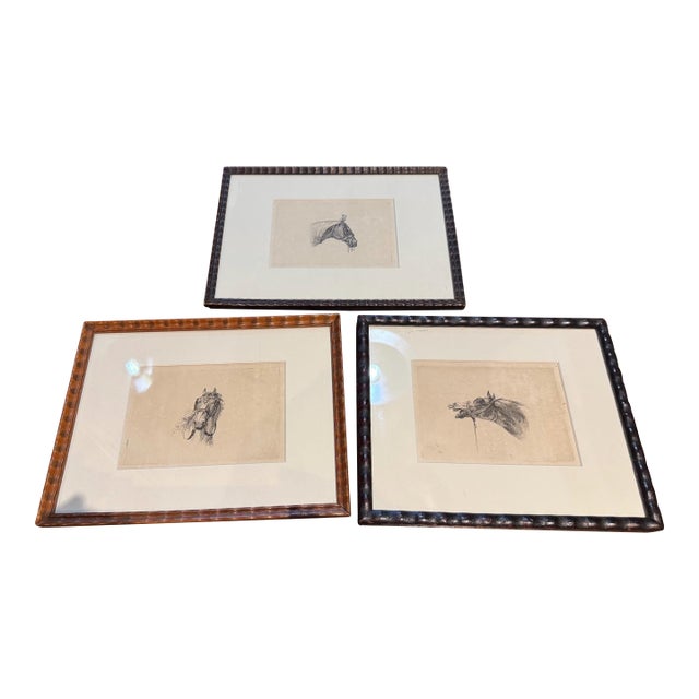 C.1800 Antique Etchings by Johannes Bemme, Set of 3 Horse Heads For Sale