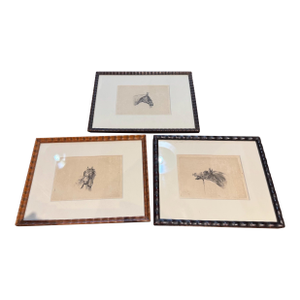 C.1800 Antique Etchings by Johannes Bemme, Set of 3 Horse Heads