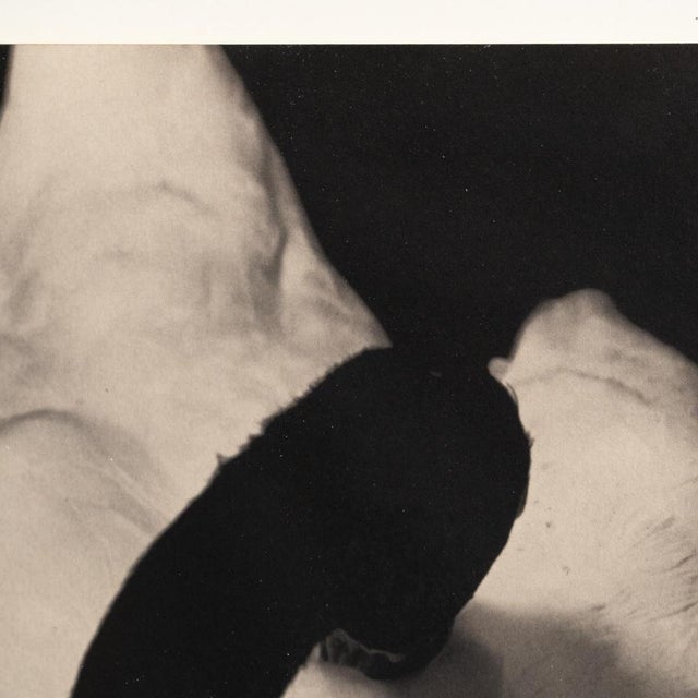 Albarran & Cabrera, Mouth of Krishna, Photographic Print, 2010s For Sale - Image 7 of 12