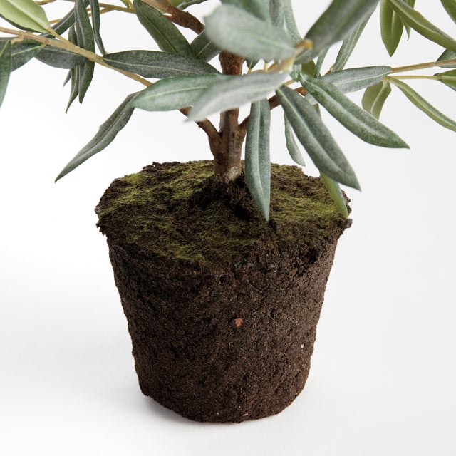 Kenneth Ludwig Chicago Olive Tree Drop-In 26" For Sale - Image 4 of 5