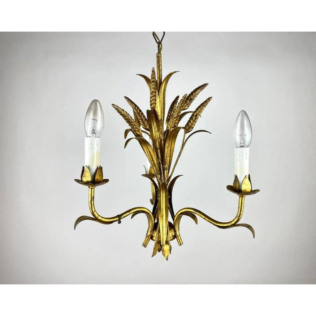 Vintage Italian Chandelier Ears of Wheat, Italy, 1960s For Sale - Image 4 of 11