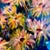 Abstract Vintage Abstract Floral Oil Painting by Mary Solbrig For Sale - Image 3 of 11