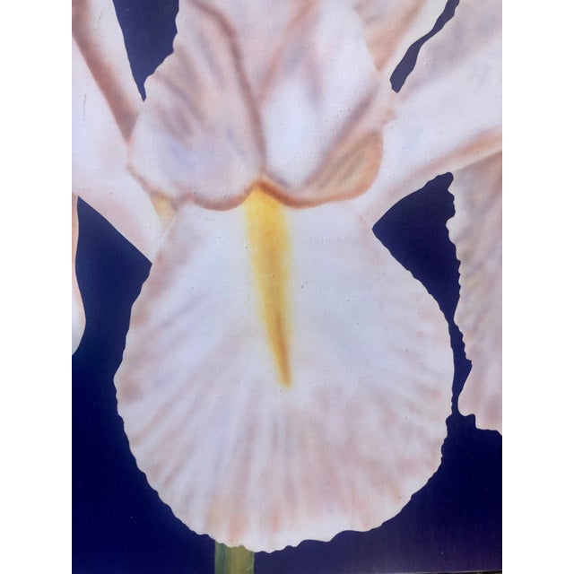 Textile Clarence Measelle, Photorealism Still Life Acrylic Painting Flower Photo Realist Orchid, Vivid Blue For Sale - Image 7 of 11