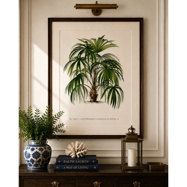 Illustration Vintage Palm Tree Illustration, Botanical Art Print Reproduction by Denterghem, 16" X 24" For Sale - Image 3 of 10