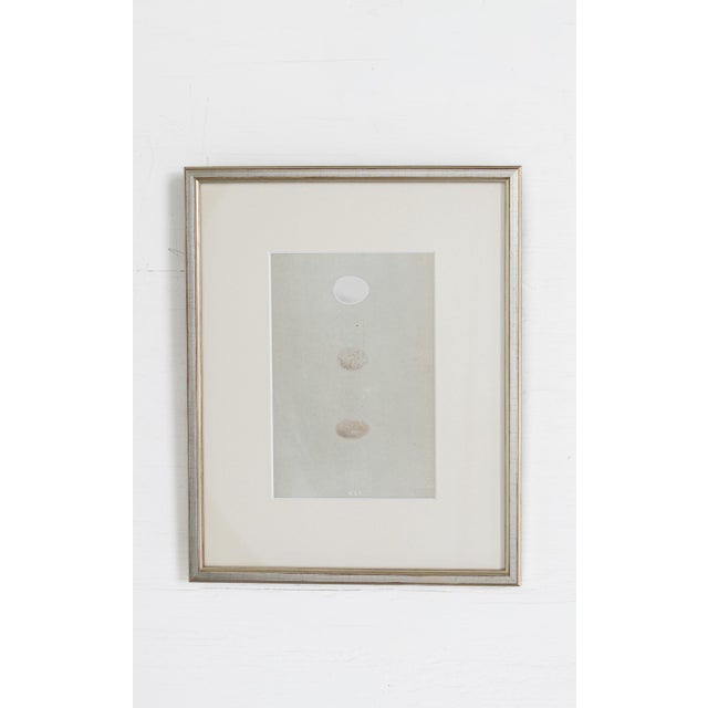 19th C. Hand Colored Egg & Nest Engravings From England, Framed Reproduction - Set of 10 For Sale - Image 9 of 11