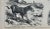 1894 Meyer Lexikon Equine Print - For Sale - Image 4 of 7