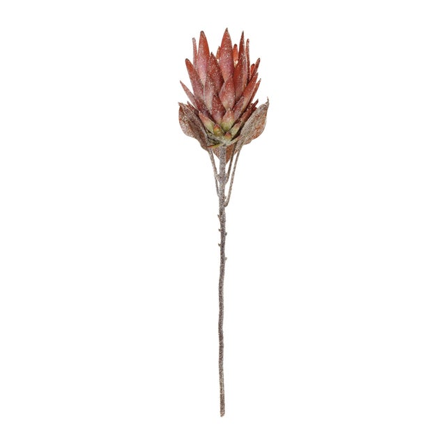 Bring a warm, festive touch to your holiday decor with this stunning set of Orange Protea Flower Stems. Designed with...