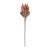 Bring a warm, festive touch to your holiday decor with this stunning set of Orange Protea Flower Stems. Designed with...